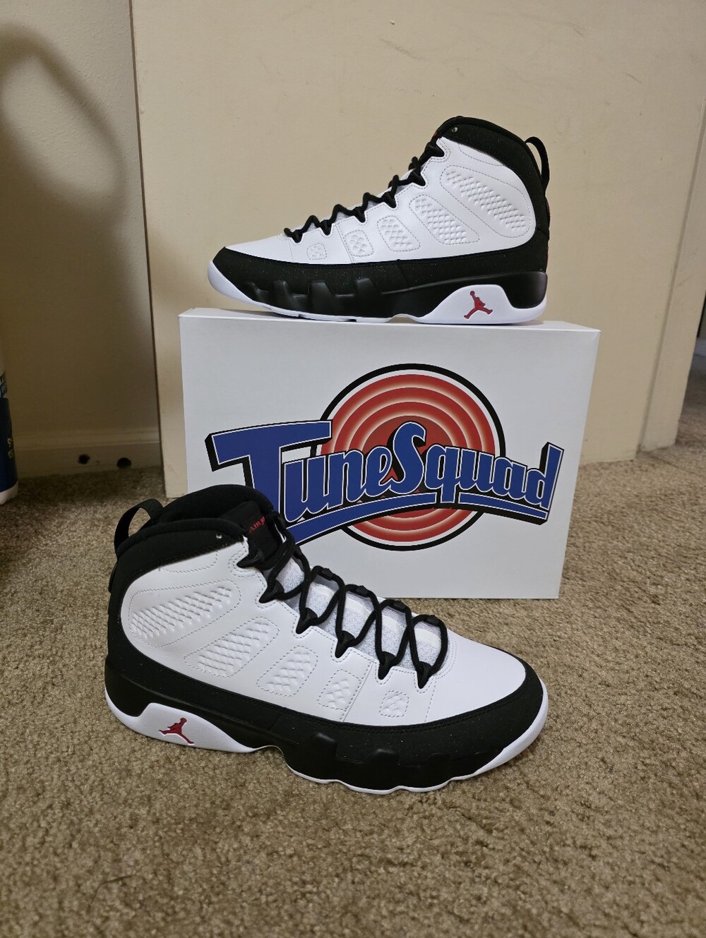 Air Jordan Retro 9 Space Jam